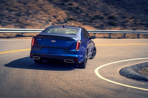 Moses Cadillac of Charleston