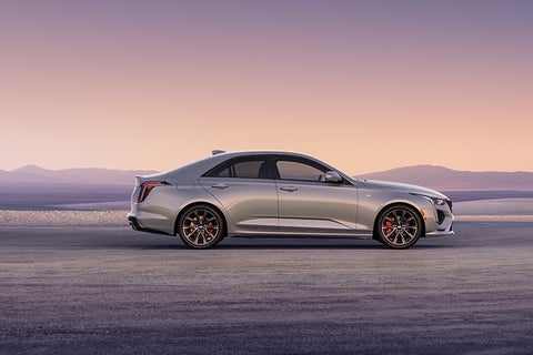 Moses Cadillac of Charleston